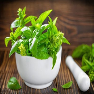 گیاه-درمانی-و-آموزش-گیاهان-دارویی-1024x683 (2)